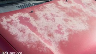car-sun-damage-paint