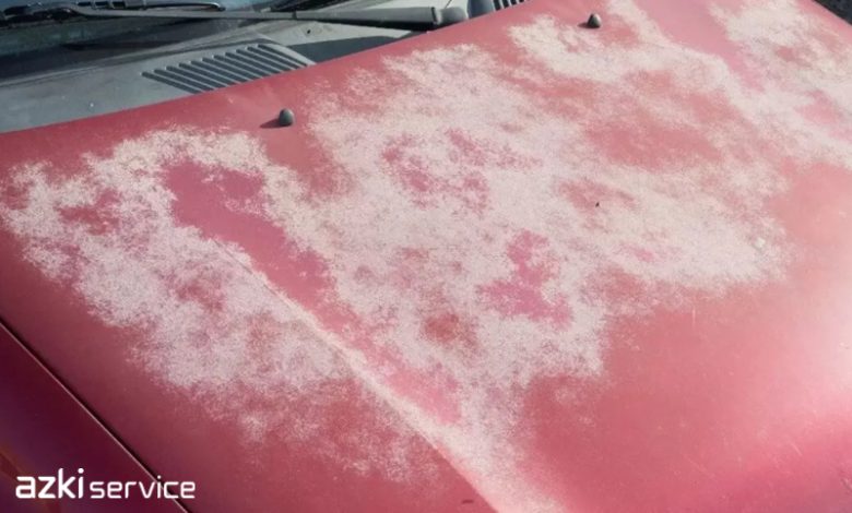 car-sun-damage-paint